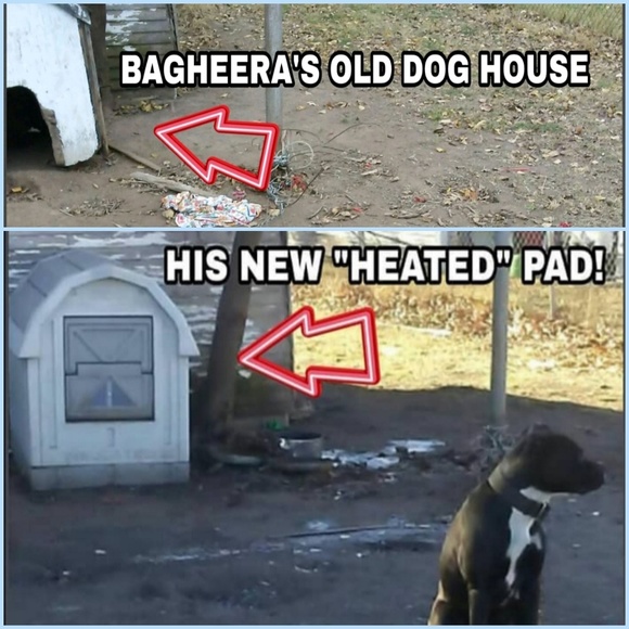 Your Posher, Susan in Suffield CT. - Picture 4 of 8